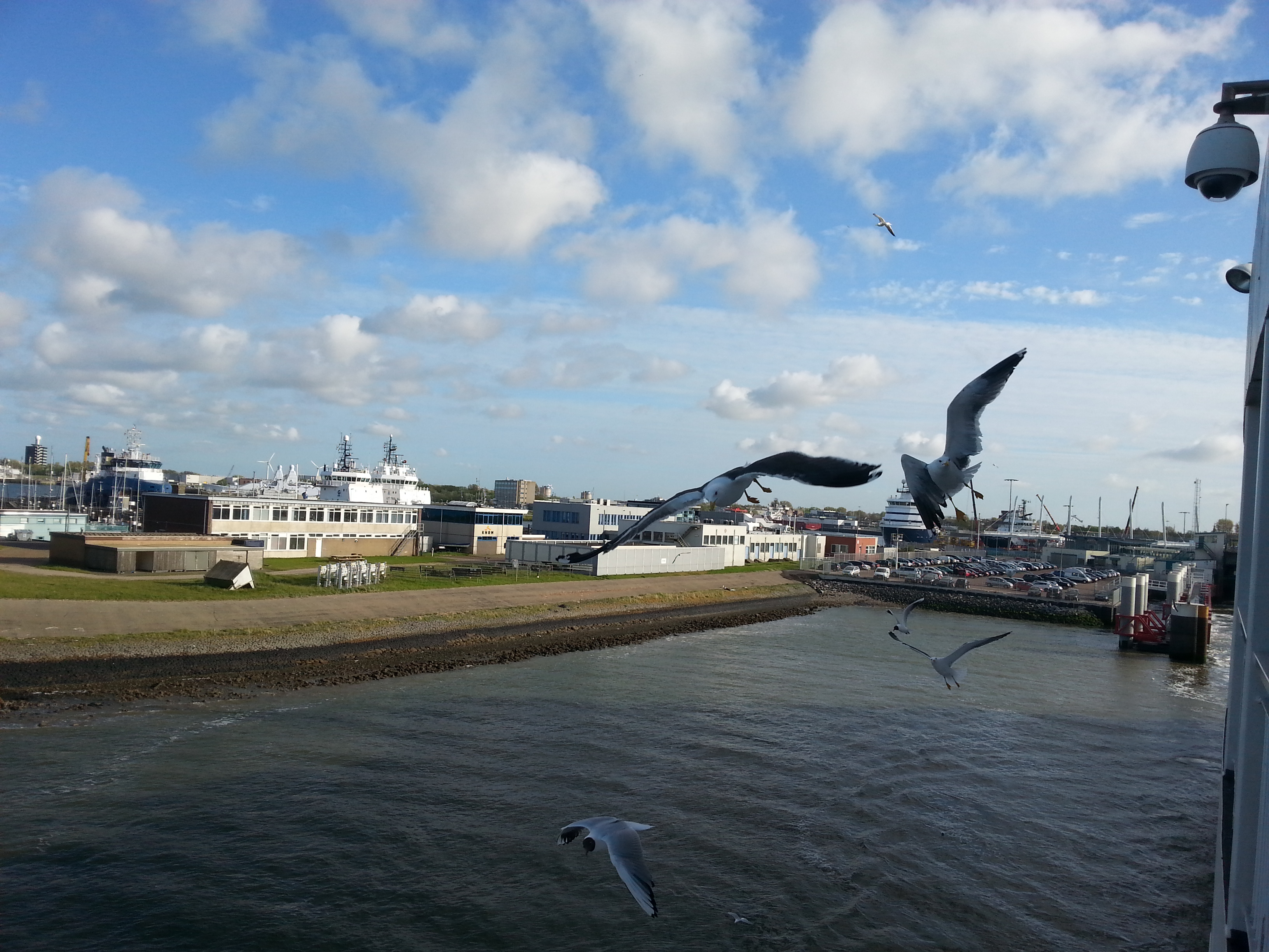 HWK Texel 001.jpg
